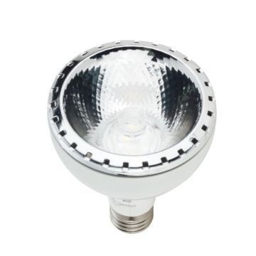 FORLIFE FL-1625 20 Watt PAR30 LED Ampul (EPISTAR)