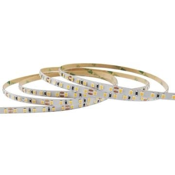 MOLLED MOL2533 5 Metre 12 Volt 10 Watt 120 Ledli Beyaz (6500K) Şerit Led