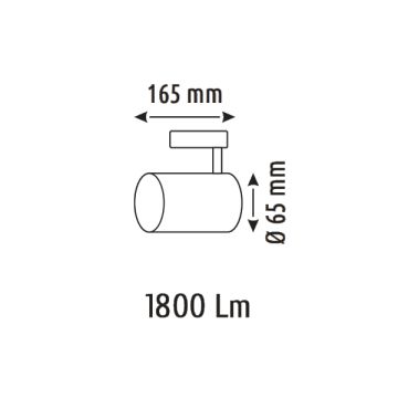 HELIOS HS8647 20 Watt Beyaz Gövde OSRAM LED Magnet Ray Spot