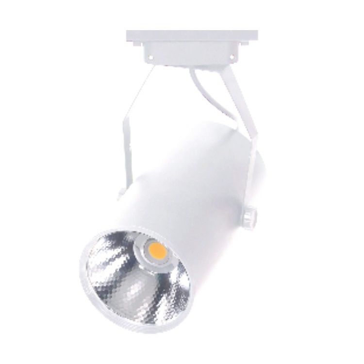 ERKled ERK3722 Beyaz Kasa 30 Watt LED Ray Spot (EPISTAR LED)