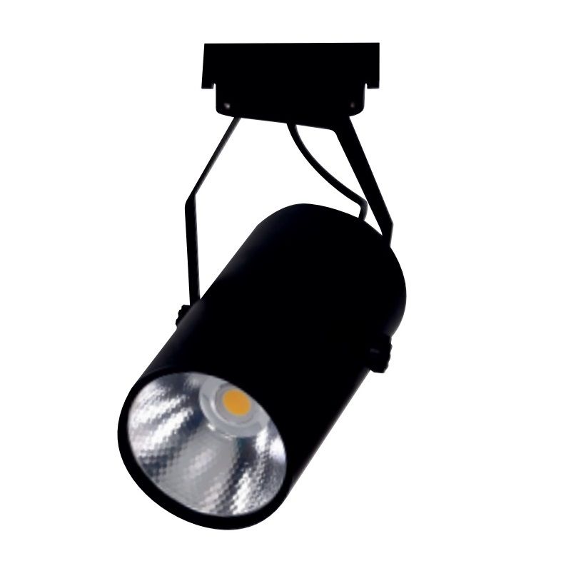 ERKled ERK3721 Siyah Kasa 30 Watt LED Ray Spot (EPISTAR LED)