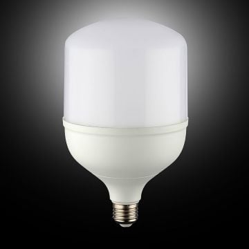 NOAS YL95-3001 30 Watt Torch LED Ampul
