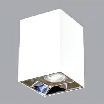 ERKled ERK5514K 7.5x7.5x10 cm Beyaz-Platin Sıva Üstü Spot Kasası (PC Gövde)
