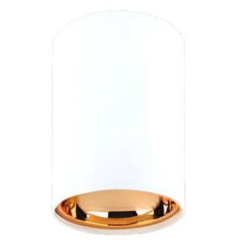 CATA CT-5423 Didim 7.5x11 cm Beyaz-Gold Sıva Üstü Silindir Spot Kasası