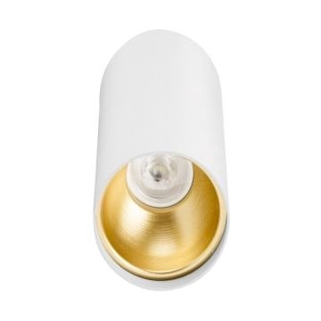 ERKled ERK2801 6x10 cm Beyaz-Gold Sıva Üstü Silindir Spot Kasası