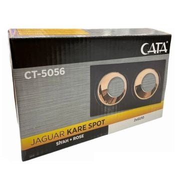 CATA CT-5056 Sıva Altı Siyah-Gold İkili Spot Kasası