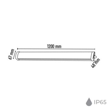NOAS YL98-3610 36 Watt 120 cm Nemliyer LED Etanj (IP65)