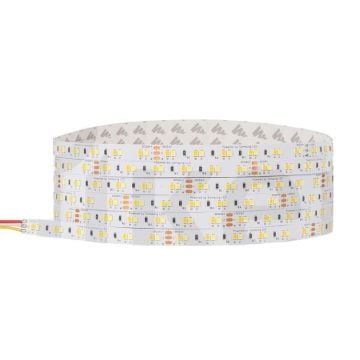SAMSUNG 24 Volt 120 Ledli Dimli ve CCT Tunable Şerit Led - 19.2 Watt/Metre - [5 Metre] - FSSG.1019.TW20.1224