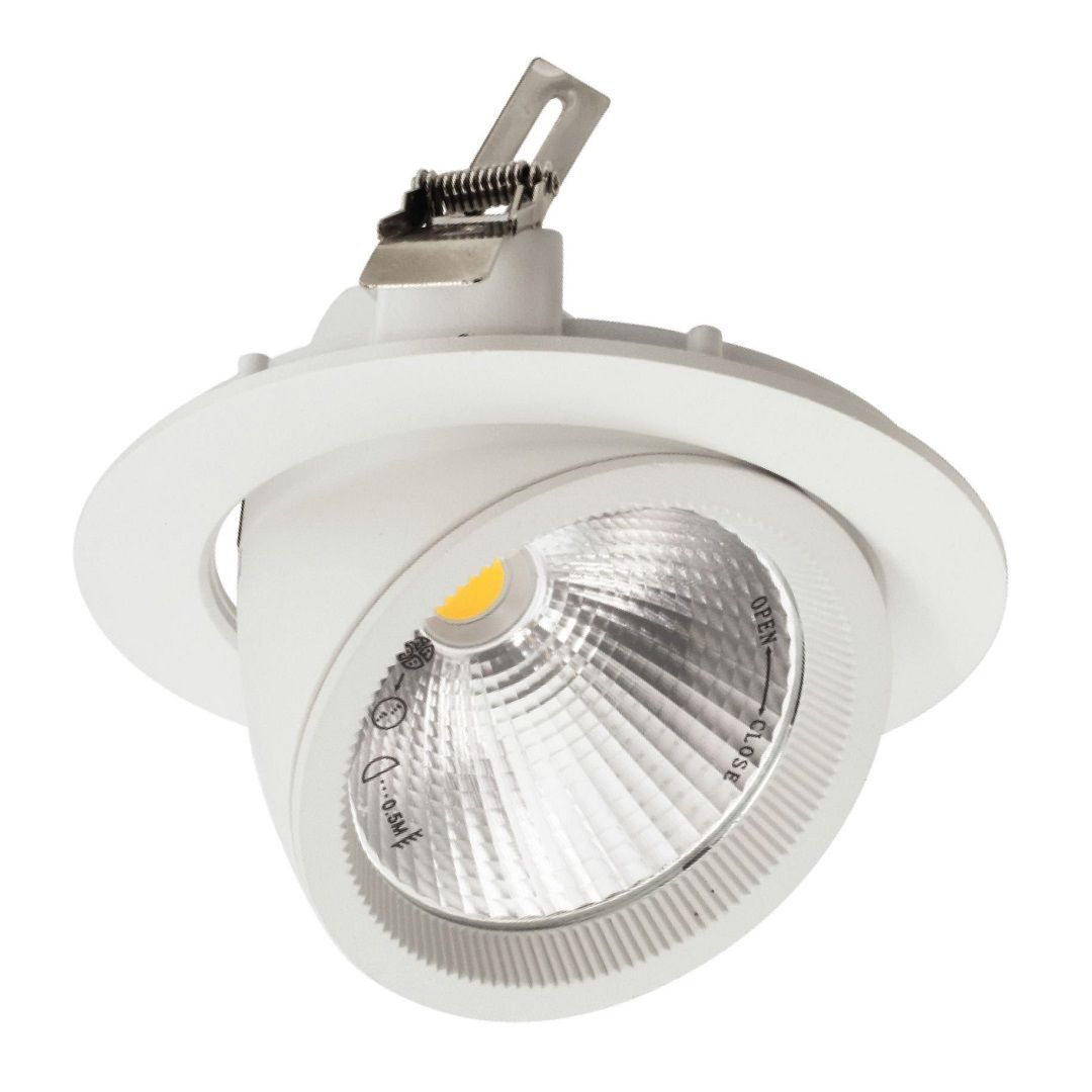 ACK AD36-00410 30 Watt Salyangoz LED Spot - Ilık Beyaz (4000K)