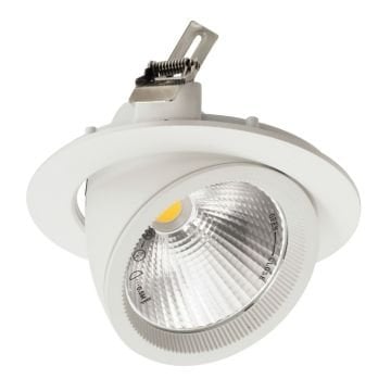 ACK AD36-00400 30 Watt Salyangoz LED Spot - Gün Işığı (3000K)