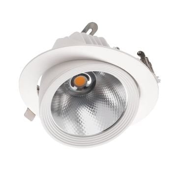 ACK AD36-00310 30 Watt Salyangoz LED Spot - Ilık Beyaz (4000K)