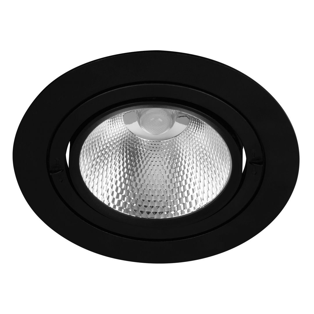 goldX ZE250-BK Siyah Kasa 40 Watt Yuvarlak LED Mağaza Spotu