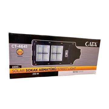 CATA CT-4641 250 Watt Solar Sokak Armatürü - Beyaz Işık (6400K)