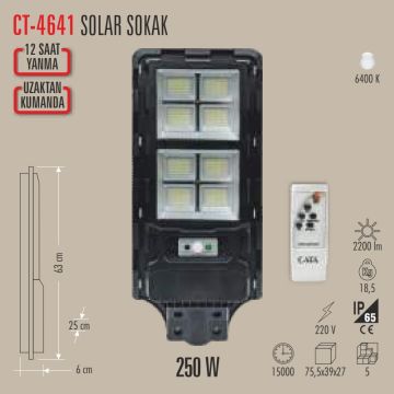CATA CT-4641 250 Watt Solar Sokak Armatürü - Beyaz Işık (6400K)