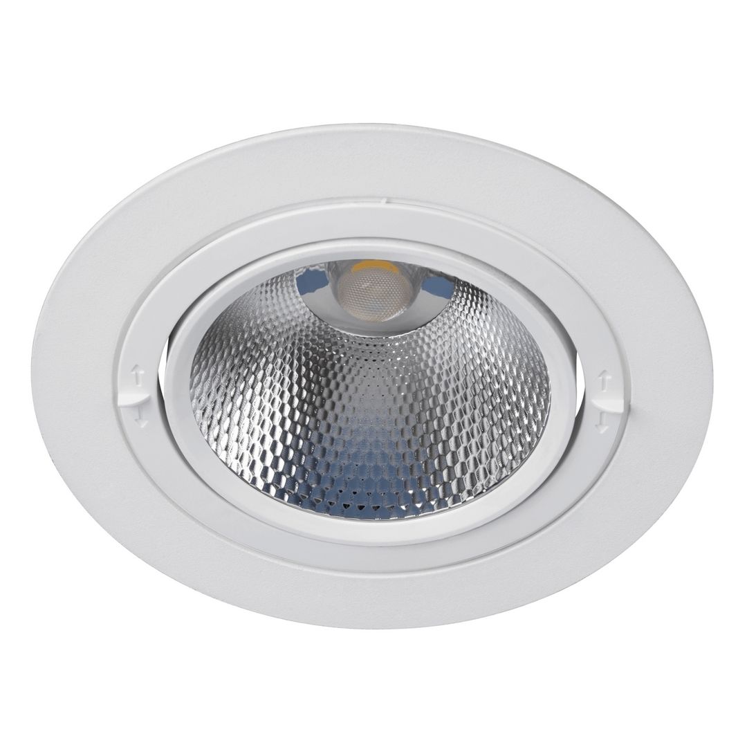 goldX ZE250-WH Beyaz Kasa 40 Watt Yuvarlak LED Mağaza Spotu