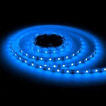 ACK AS01-02506 5 Metre 12 Volt 120 Ledli Mavi Şerit Led - 10 Watt/Metre