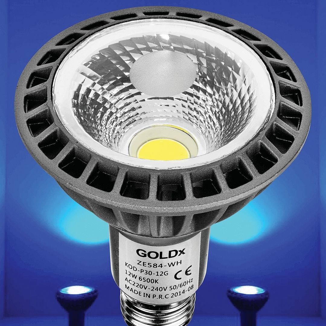 goldX ZE584-B 12 Watt Mavi PAR30 LED Ampul