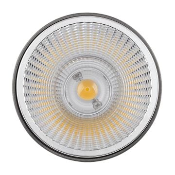 goldX ZE842 18 Watt AR111 LED Ampul