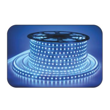 HELIOS HS 3244 220 Volt Mavi Dış Mekan Şerit Led [100 Metre]