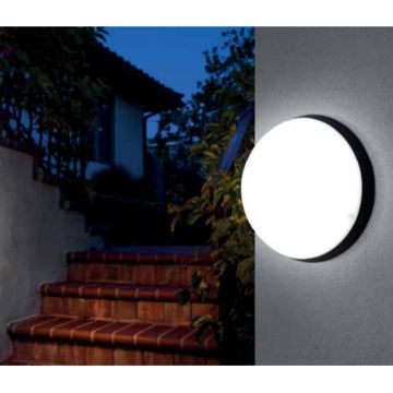 20 Watt Opal Camlı Siyah Dış Mekan Glop Armatür - Gün Işığı (3000K) [Plastik Kasa]