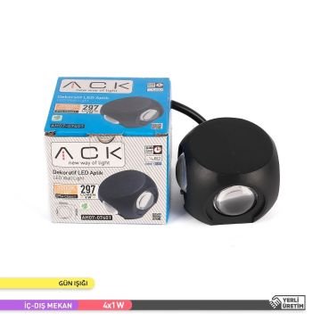 ACK AH07-07401 4x1 Watt Siyah Çift Yönlü Dış Mekan LED Aplik - Gün Işığı (3000K) - IP54 - Metal Gövde