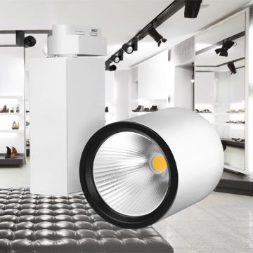 Braytron BD30-20200 Beyaz Kasa 40 Watt PHILIPS LED Ray Spot - Gün Işığı (3000K)