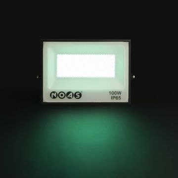 NOAS YL70-0100 100 Watt LED Projektör