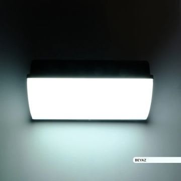 ACK AH07-06430 30 Watt Siyah Dış Mekan LED Aplik - Beyaz Işık (6500K) - IP65