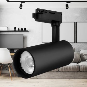 Braytron BD30-01601 Siyah Kasa 30 Watt PHILIPS LED Ray Spot - Gün Işığı (3000K)
