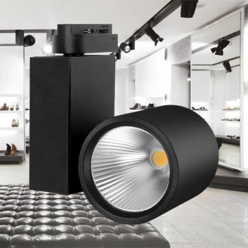 Braytron BD30-00231 Siyah Kasa 30 Watt PHILIPS LED Ray Spot - Beyaz Işık (6500K)