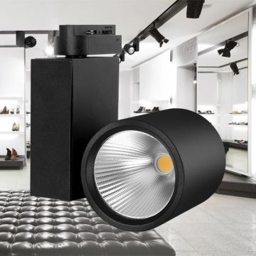 Braytron BD30-00211 Siyah Kasa 30 Watt PHILIPS LED Ray Spot - Ilık Beyaz (4000K)