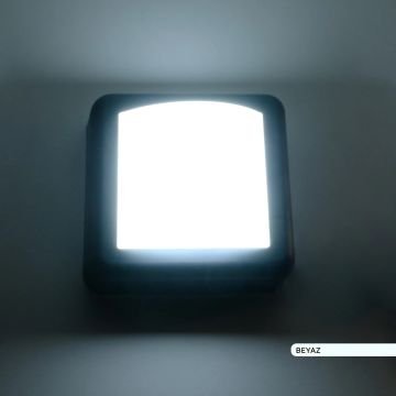 ACK AH07-05031 4 Watt Siyah Dış Mekan LED Aplik - Beyaz Işık (6500K) - IP44 - PC Gövde