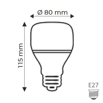 HELIOS HS 2028 20 Watt Torch LED Ampul