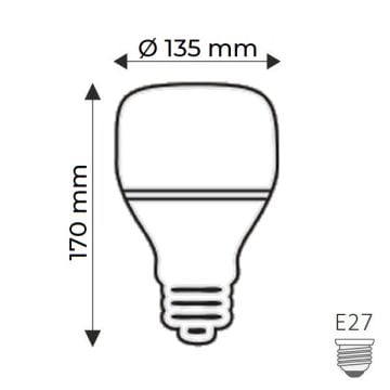 HELIOS HS2032 60 Watt Torch LED Ampul