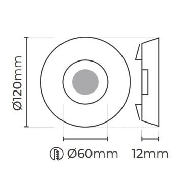 MOLLED MOL543-B Yuvarlak Gold LED Kristal Spot (Çerçeve Işıklı)
