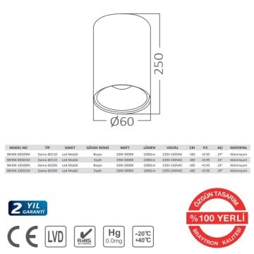 Braytron SBH04-00500M 10 Watt 6x11 cm Beyaz Sıva Üstü LED Spot - Gün Işığı (3000K)