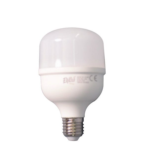 ERKled ERK2063 30 Watt Torch LED Ampul