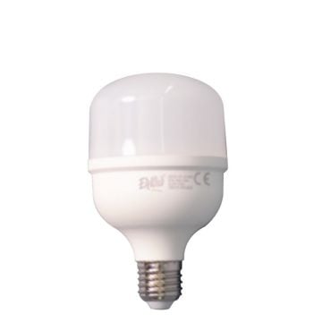 ERKled ERK2062 20 Watt Torch LED Ampul