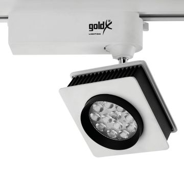 goldX ZE546 Beyaz Kasa 30 Watt OSRAM LED Ray Spot - Beyaz Işık (6000K)