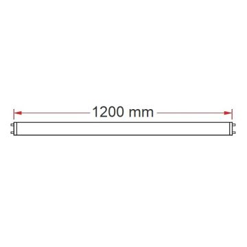 ERKled ERK2517 18 Watt 120 cm LED Floresan