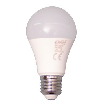 ERKled ERK2042 12 Watt LED Ampul