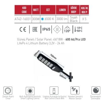 ACK AT42-16031 300 Watt Hareket Senörlü Solar Sokak Armatürü - Beyaz Işık (6500K)