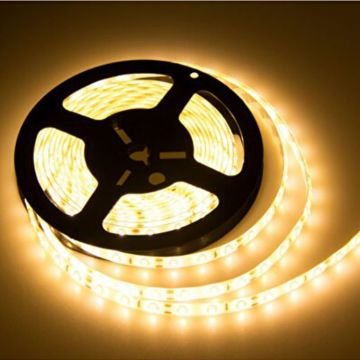 CATA CT-4537 12 Volt Gold Seri Gün Işığı Şerit Led - 14 Watt/Metre [5 Metre]