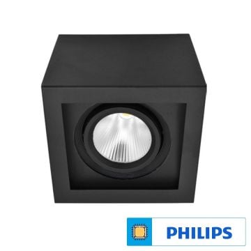 Braytron BD37-20211 Siyah Kasa Kare 40 Watt Sıva Üstü LED Mağaza Spotu (PHILIPS LED) - Ilık Beyaz (4000K)