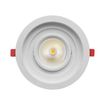 Braytron BD36-00310 Beyaz Kasa Yuvarlak 30 Watt LED Mağaza Spotu (PHILIPS LED) - Ilık Beyaz (4000K)