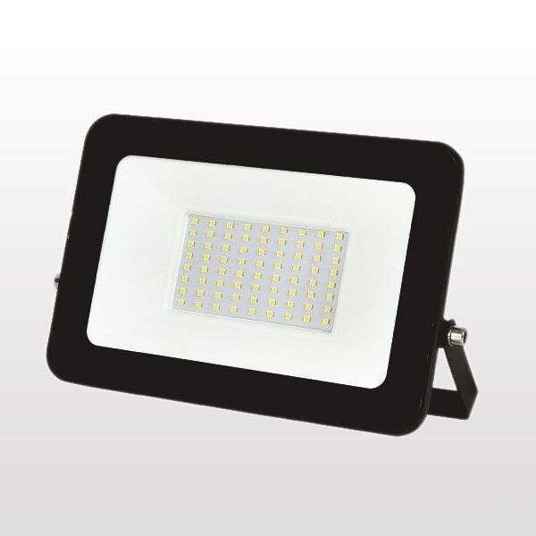 ERKled M3850 50 Watt LED Projektör