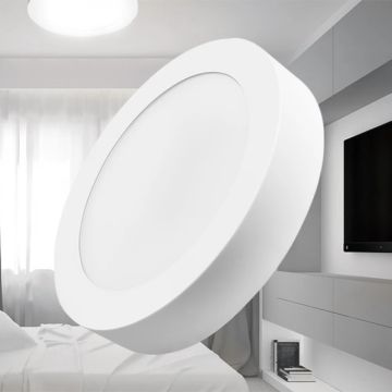Braytron BP03-31830 18 Watt Sıva Üstü Yuvarlak LED Panel - Beyaz Işık (6500K)