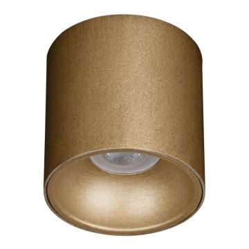 goldX ZE830-1-PE 12 Watt 10x10 cm Prinç Eskitme Sıva Üstü Silindir LED Spot (SAMSUNG LED & EAGLERISE Driver)