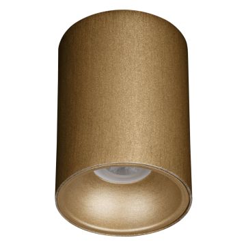 goldX ZE830-PE 12 Watt 10x14 cm Prinç Eskitme Sıva Üstü Silindir LED Spot