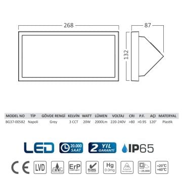 Braytron BG37-00582 20 Watt Siyah Kasa Dış Mekan LED Aplik - 3 Işık Renkli (Beyaz + Ilık Beyaz + Gün Işığı)